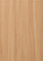 Стандартна ламінаційна плівка Шогун АС